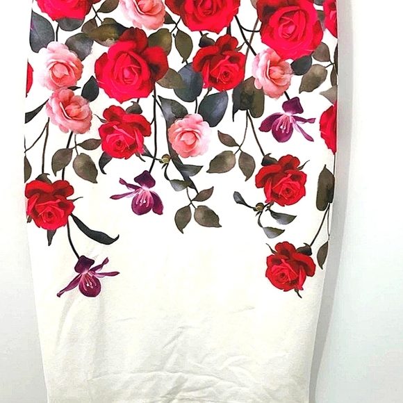Brand New Floral Sleeveless Dress - Red and Pink Size 8 - Picture 4 of 12